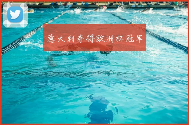 意大利夺得欧洲杯冠军