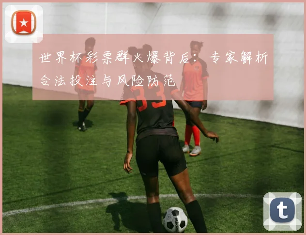 世界杯彩票群火爆背后:专家解析合法投注与风险防范